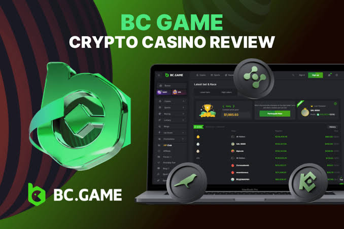 Exploring the BC.Game Platform A New Era of Online Gaming